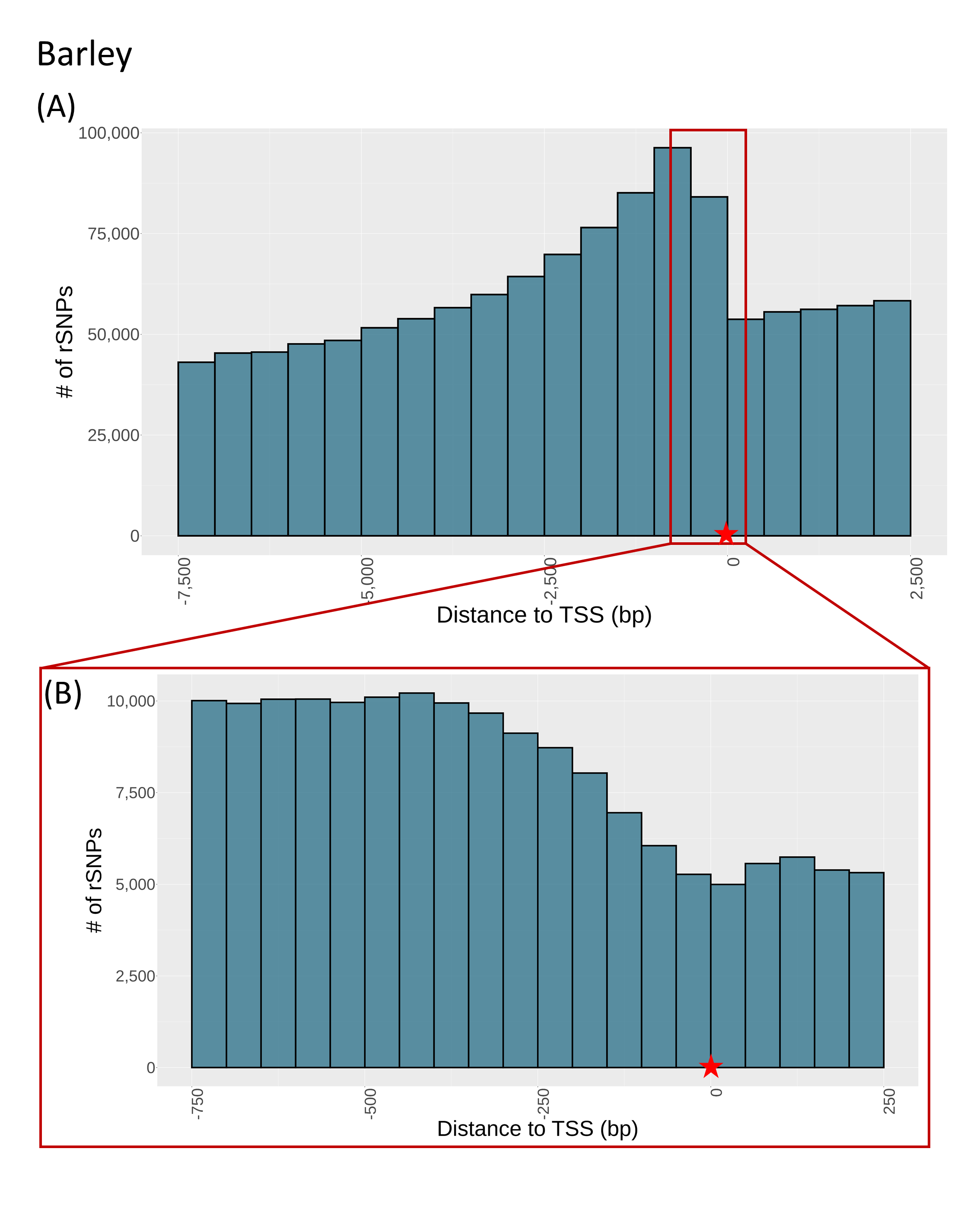 SNP distance to TSS barley