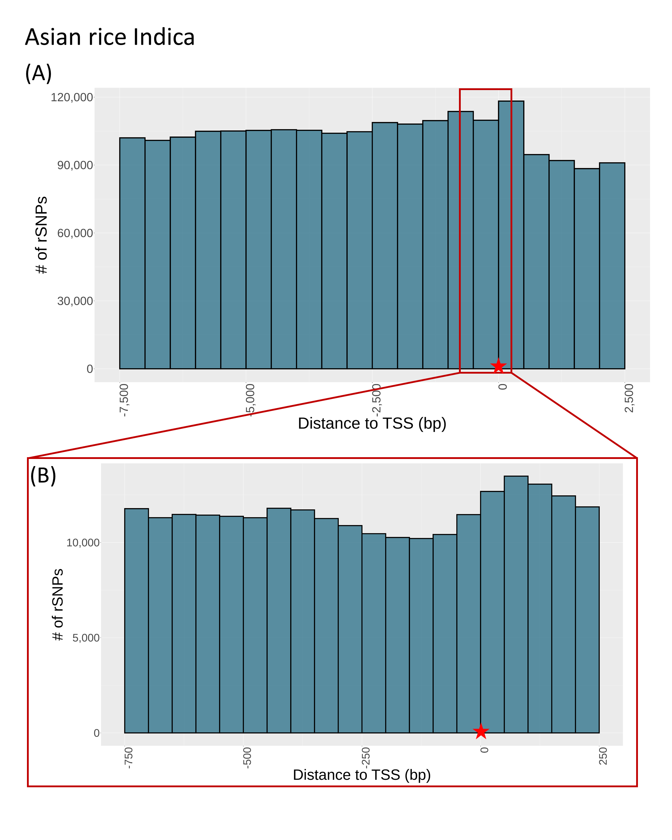 SNP distance to TSS asian rice indica