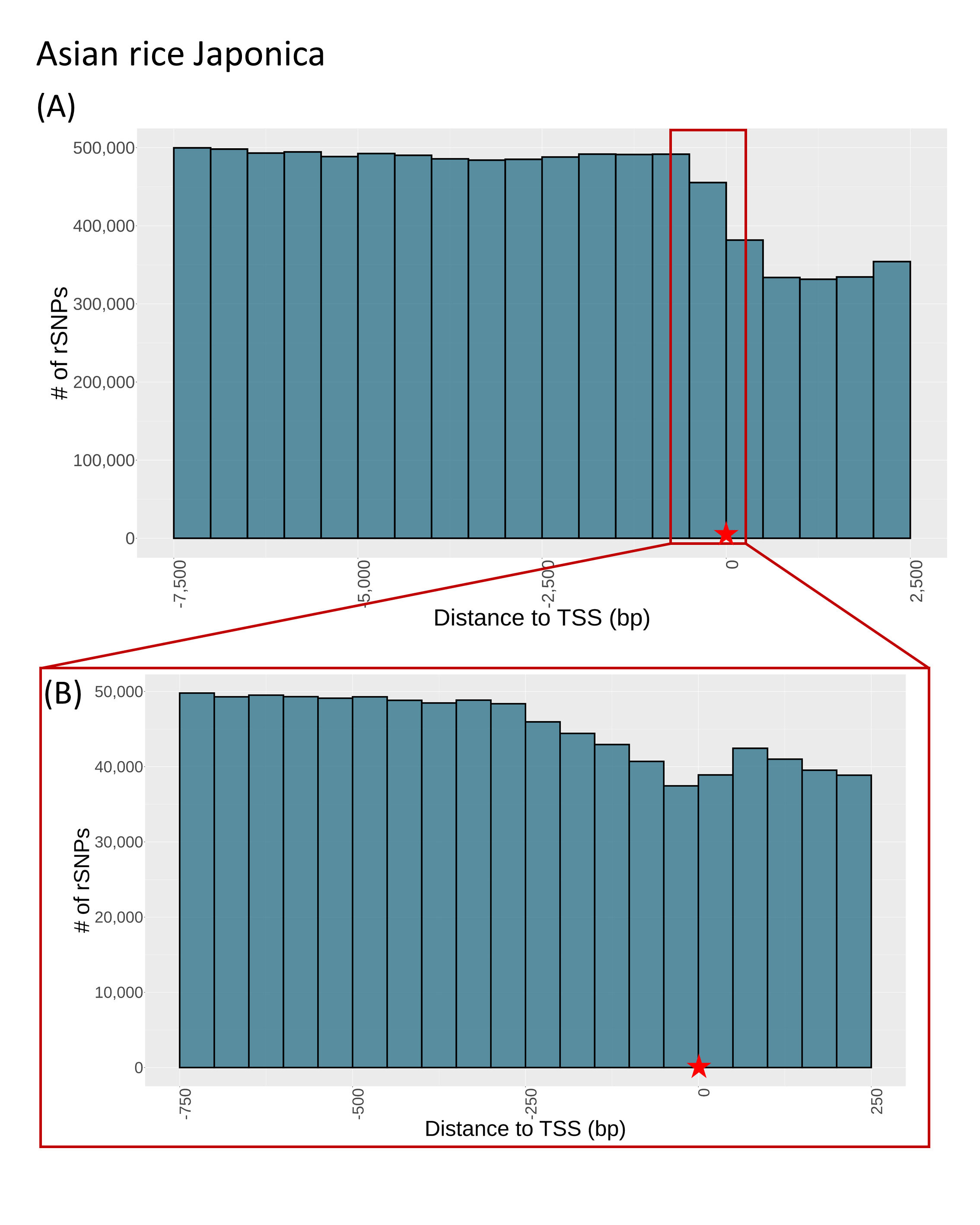 SNP distance to TSS asian rice japonica