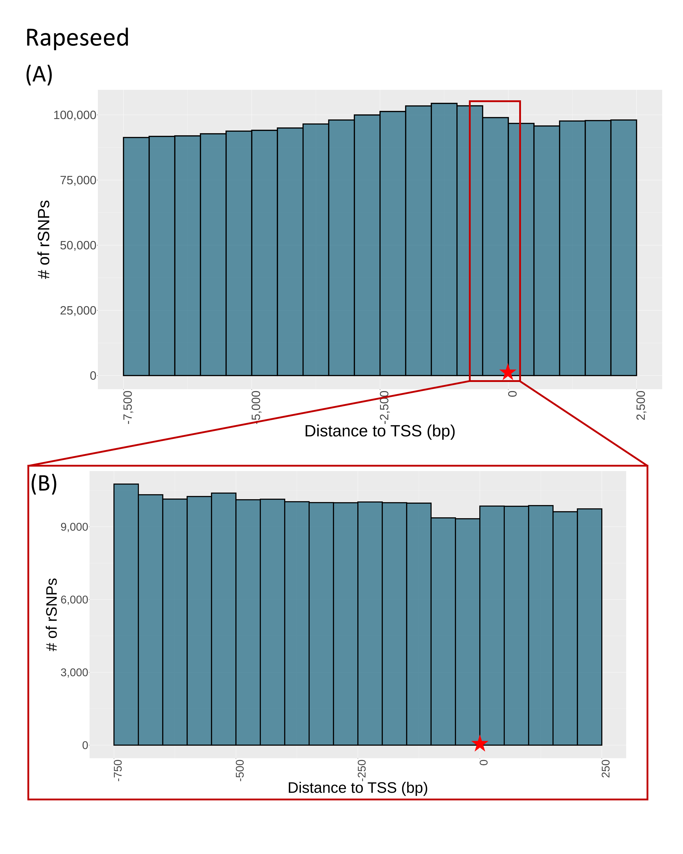 SNP distance to TSS barley